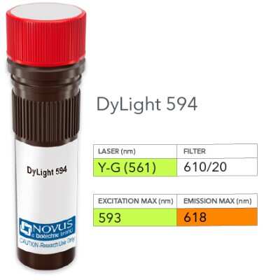 Product Image: STING/TMEM173 Antibody [DyLight 594] [NBP2-24683DL594] - Vial of DyLight 594 conjugated antibody. DyLight 594 is optimally excited at 593 nm by the Yellow-Green laser (561 nm) and has an emission maximum of 618 nm.